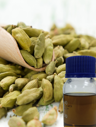 Cardamom Oil