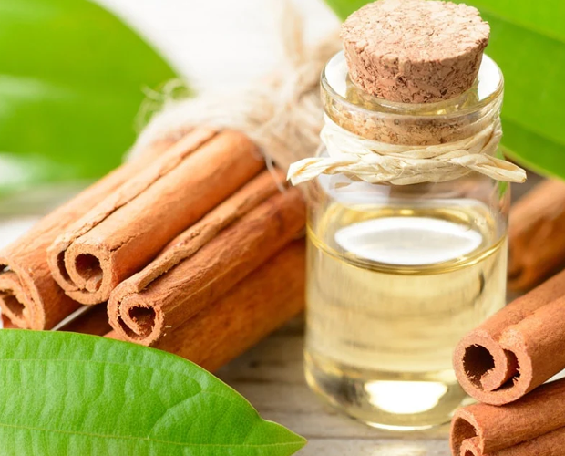 Cinnamon Essential Oil