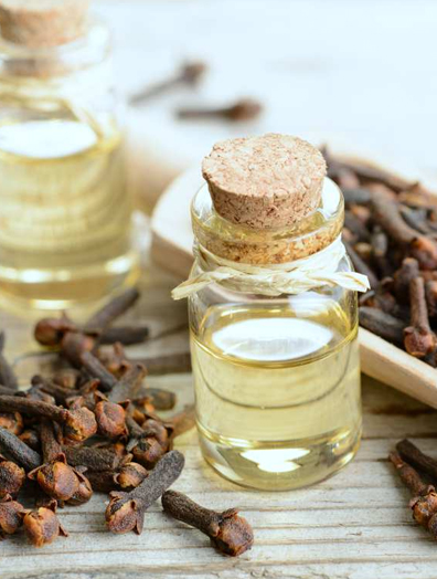 Clove Essential Oil