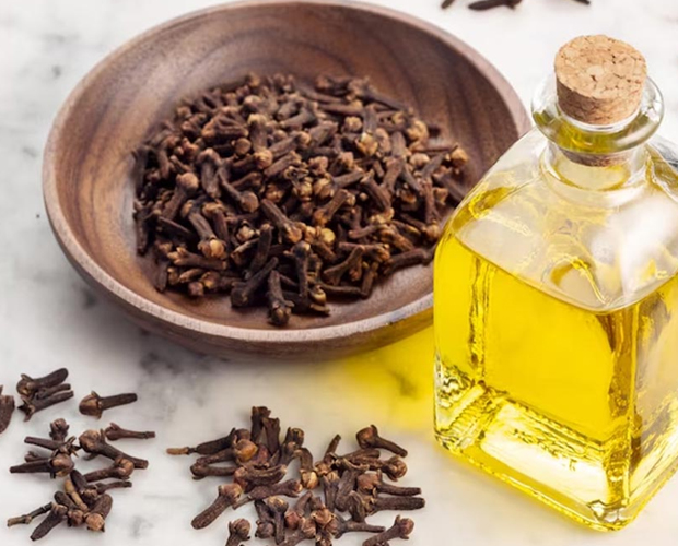 Clove Oil