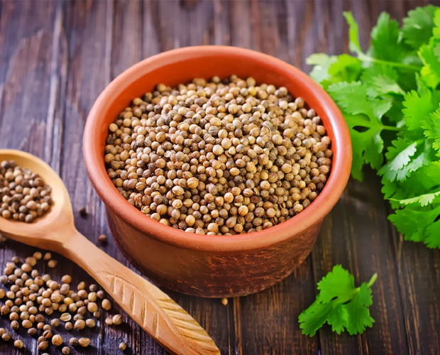 Coriander Oleoresin