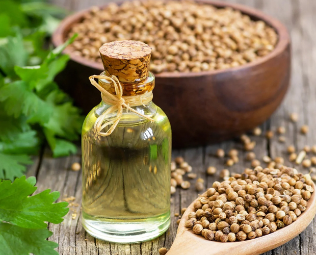 Coriander Essential Oil