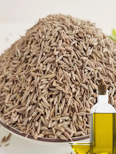 Cumin Seed Oil