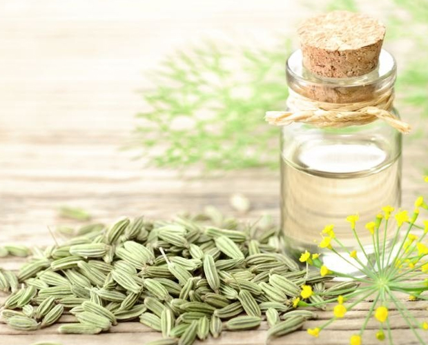 Fennel Essential Oil