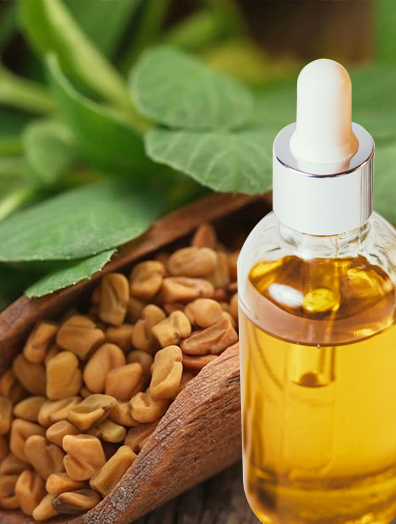 Fenugreek Essential Oil