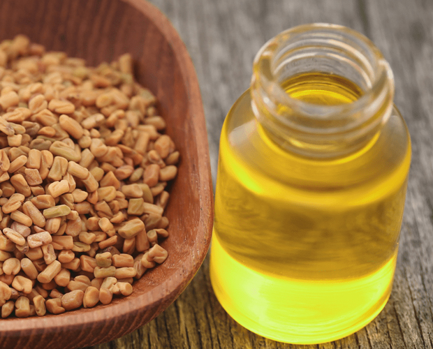 Fenugreek Oil